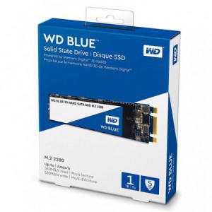 DISCO DURO SSD 1TB M.2 WESTERN DIGITAL WDS100T2B0B*