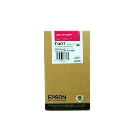INK JET EPSON ORIGINAL C13T603300 DOBLE MAG