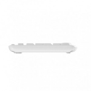 TECLADO+RATON LOGITECH WIRELESS MK295 BLANCO 