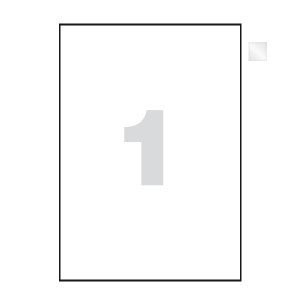 ETIQUETAS LASER 210X297 C/100 (A4)*