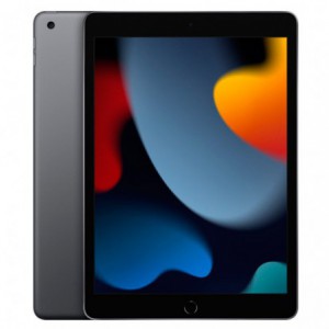IPAD APPLE 10.2 2021 9TH WIFI CELLA13 BIONIC 64GB GRIS ESP