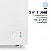 CONGELADOR REFRIGERADOR NEPTUNO 3006 290L