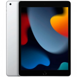 IPAD AIR APPLE 10.2" WI-FI 256GB SILVER MK2P3TY/A