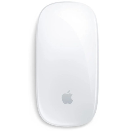 RATON APPLE MAGIC MOUSE 2 USB TIPO-C PLATA MXK53ZM/A