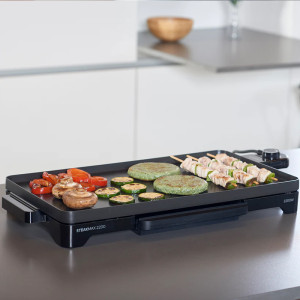 PLANCHA DE ASAR TAURUS GR2200